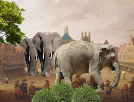 Misschien wel echt gebeurd