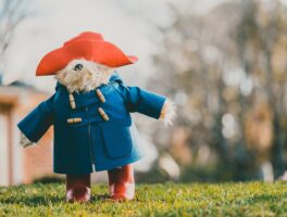 Knuffels op avontuur