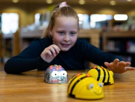Bee-Bots (Programmeren voor groep 1 t/m 3)