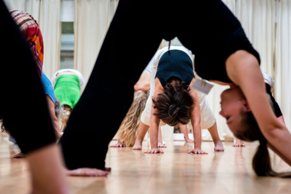 ICC-cursus met certificaat