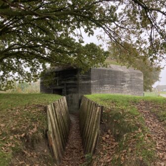 educatief aanbod 80 jaar vrijheid